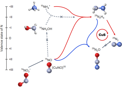 「国家高层次青年人才」一作兼通讯，重磅Nature Chemistry！