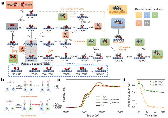 IF=46.2！海南大学田新龙/邓培林，最新Chemical Society Reviews综述！