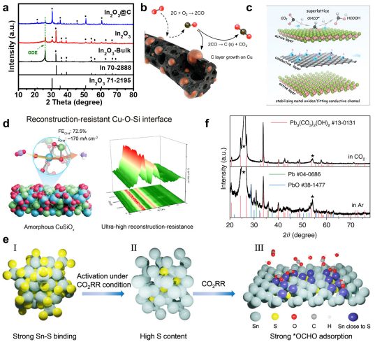 IF=46.2！海南大学田新龙/邓培林，最新Chemical Society Reviews综述！