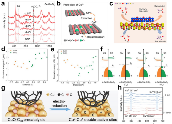 IF=46.2！海南大学田新龙/邓培林，最新Chemical Society Reviews综述！