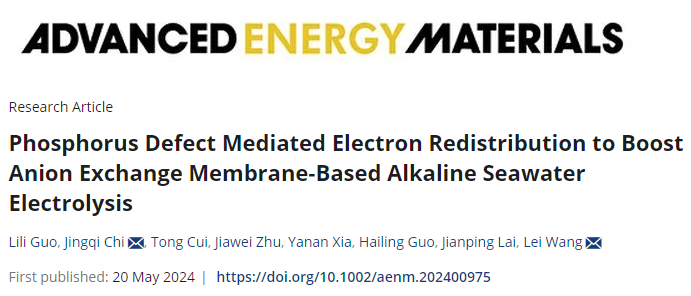 青岛科技大学王磊/迟京起，最新AEM！