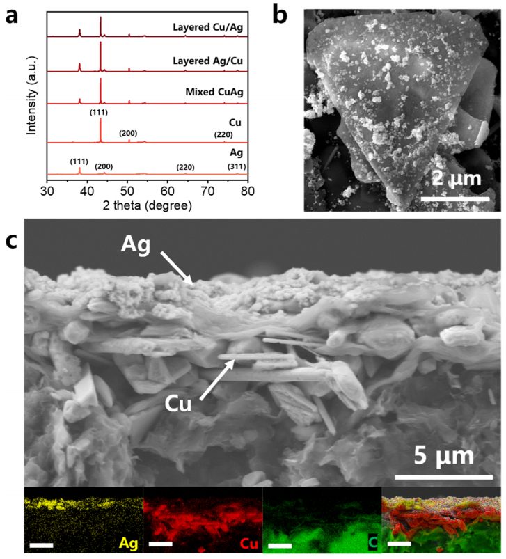 李灿院士，最新ACS Catalysis！