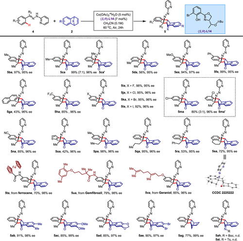 他，国家杰青/优青、青年长江！最新JACS！