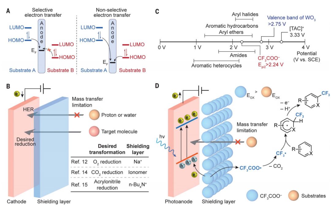 光电催化，最新Science！