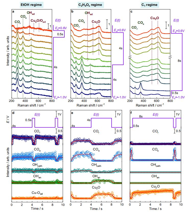 最新Nature子刊：SERS探究脉冲CO2电还原机理！