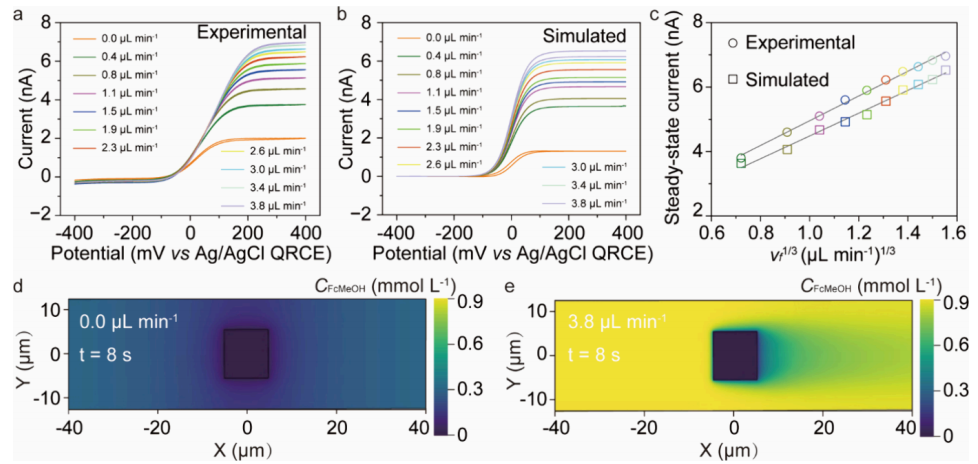 标题仅五个单词！国家杰青，最新JACS！