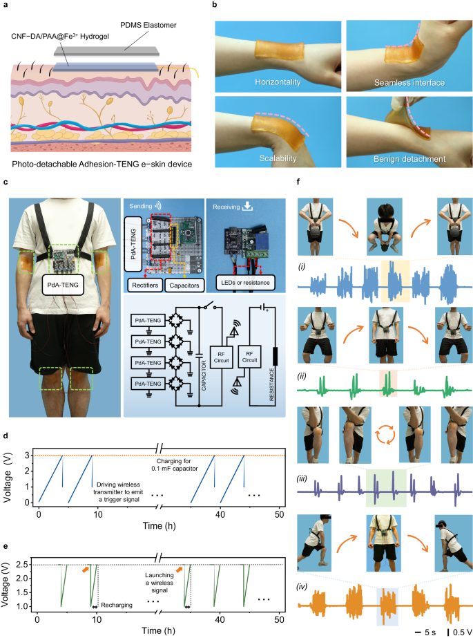 他，国家高层次青年人才，少年辍学差点成猪肉摊学徒，最新Nature子刊！