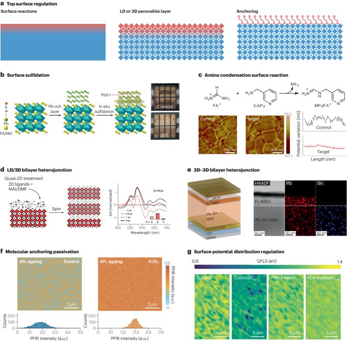 90后中国女博导，3篇Nature、Science正刊后，再发IF=83.5的Nature子刊！