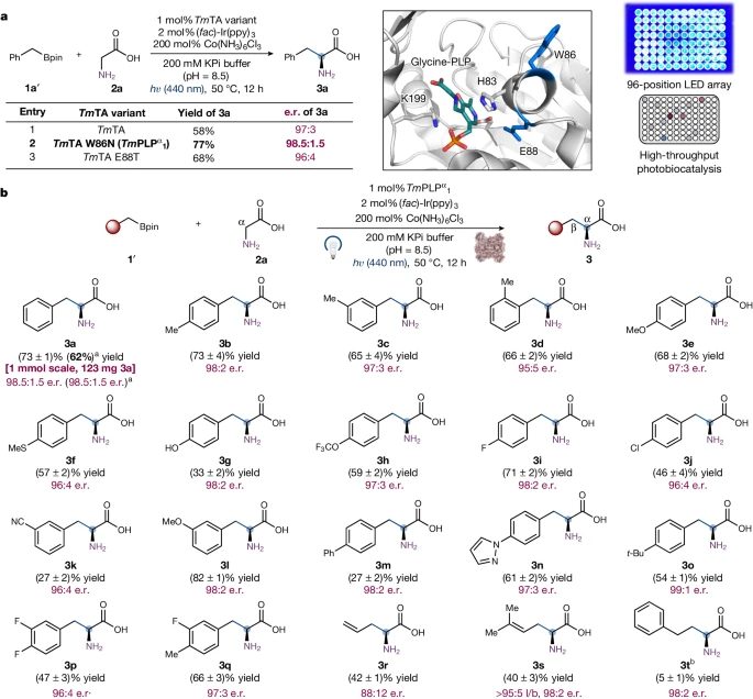 酶催化，最新Nature！