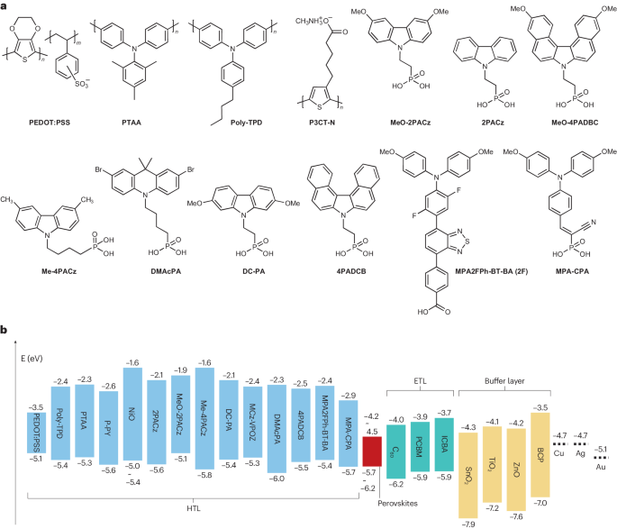 90后中国女博导，3篇Nature、Science正刊后，再发IF=83.5的Nature子刊！