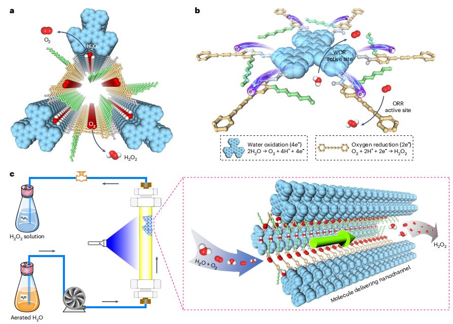 COFs大咖！新加坡国立江东林最新Nature Synthesis！