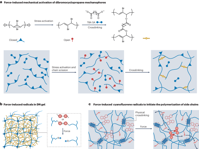 IF=83.5 顶级综述！一作+通讯，水凝胶最新Nature Reviews Materials！