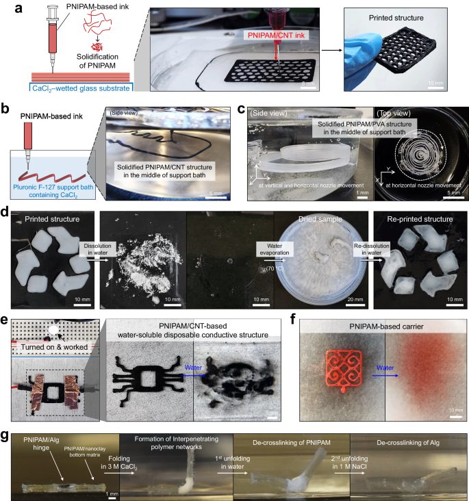 3D打印，最新Nature子刊！