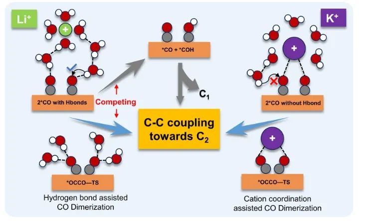 北大深研院JACS：阳离子诱导界面疏水微环境，促进CO2RR中C-C耦合