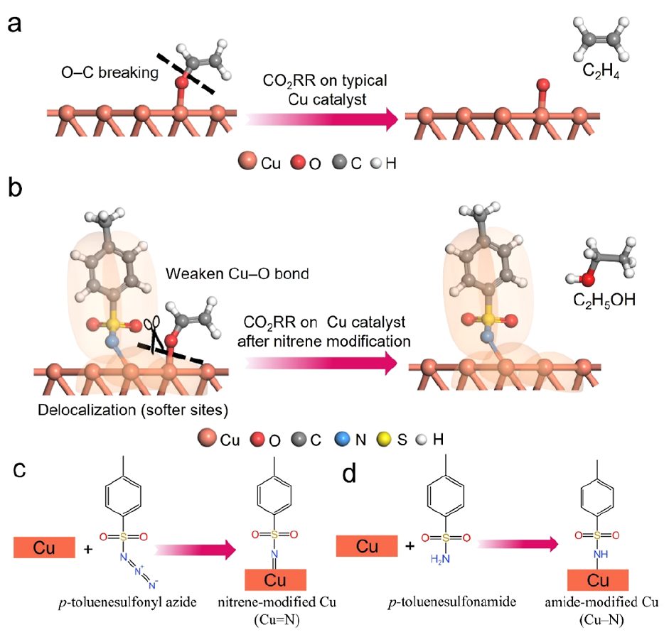 复旦大学郑耿锋团队JACS：调节电子离域态，调控键裂解顺序，将CO2还原转化为乙醇！