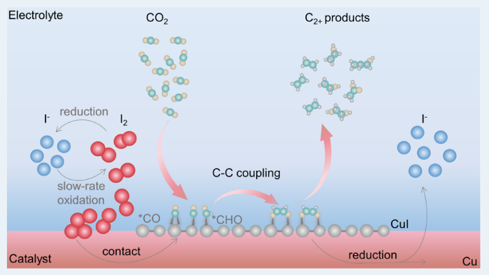 乔世璋​院士团队，最新ACS Catalysis！