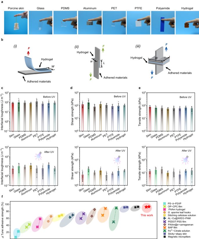 他，国家高层次青年人才，少年辍学差点成猪肉摊学徒，最新Nature子刊！