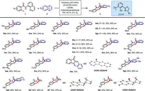 他，国家杰青/优青、青年长江！最新JACS！