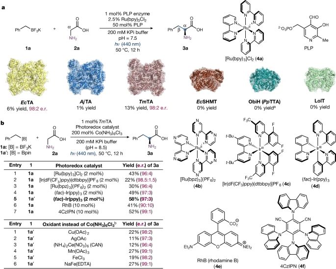 酶催化，最新Nature！