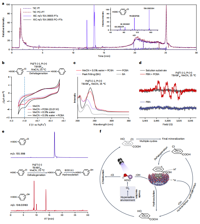 清华大学，最新Nature Nanotechnology！