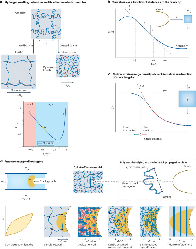 IF=83.5 顶级综述！一作+通讯，水凝胶最新Nature Reviews Materials！