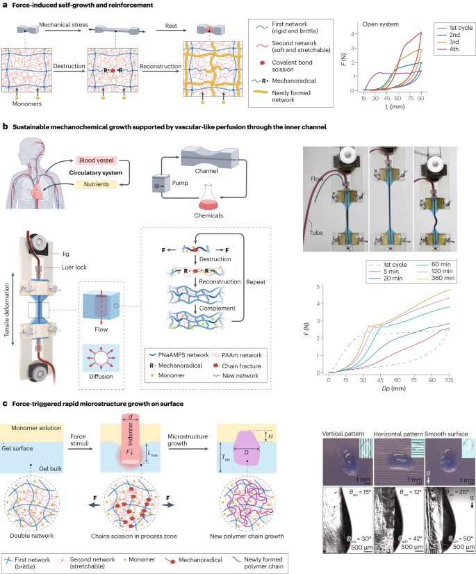 IF=83.5 顶级综述！一作+通讯，水凝胶最新Nature Reviews Materials！