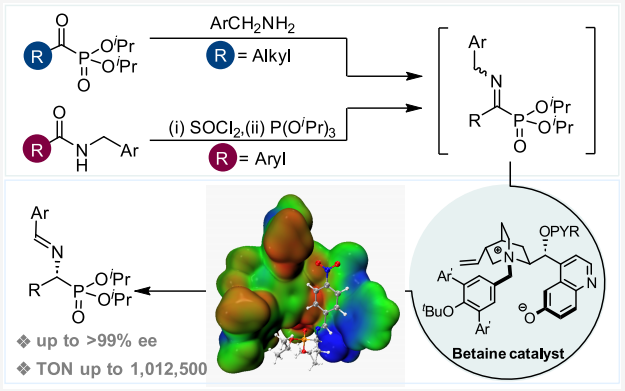 西湖大学邓力，最新JACS：手性α-氨基膦酸酯的合成！