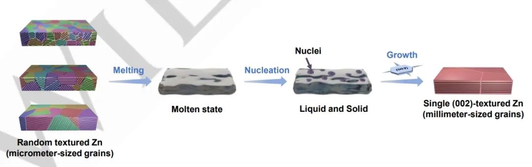 ​南邮Angew：将商业锌箔转化为毫米颗粒的单层(002)织构锌用于水系锌离子电池