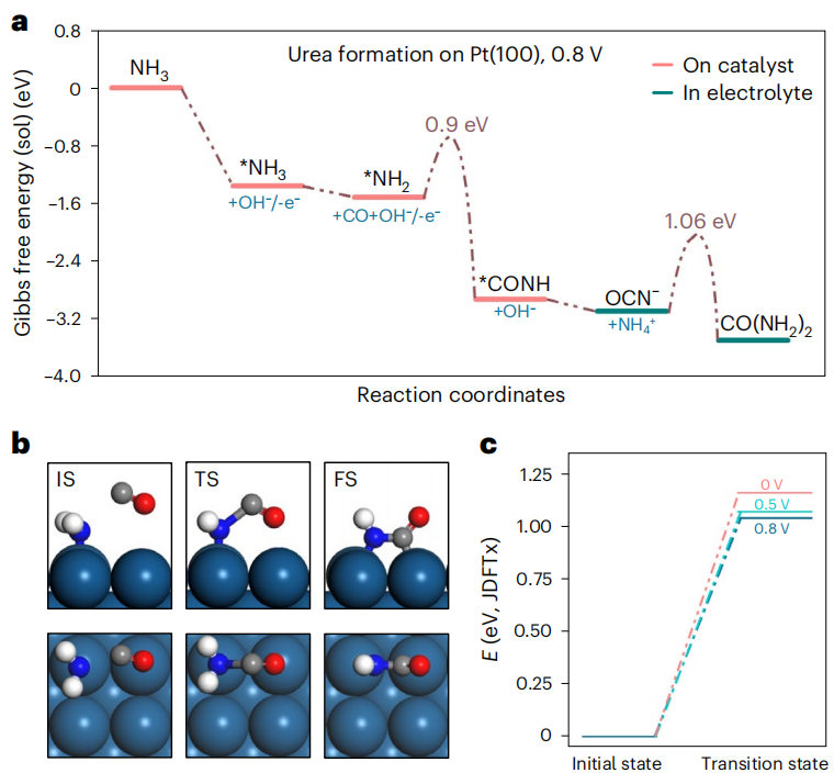 清华大学/北京大学/苏州大学，三校联手重磅Nature Catalysis！