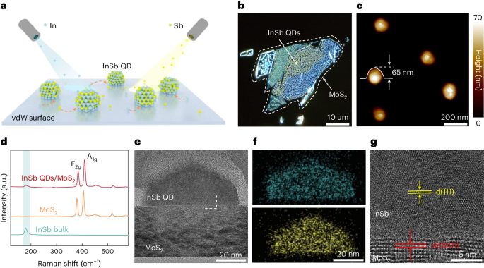 量子点，最新Nature Synthesis！