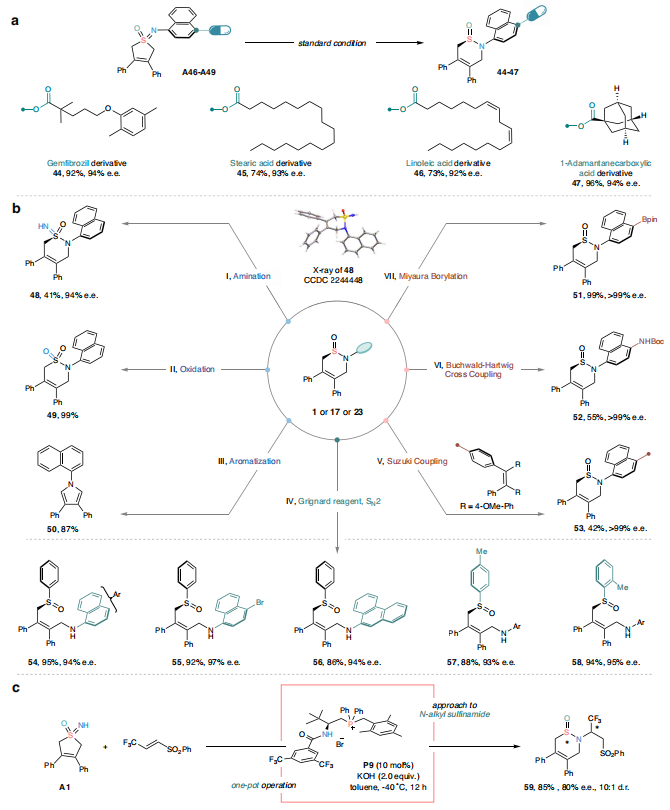 四川大学，最新Nature子刊！