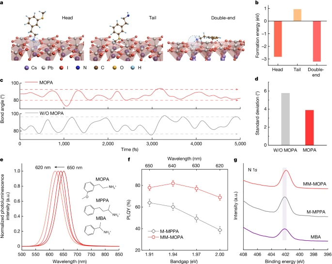 上海大学，2024年最新Nature！