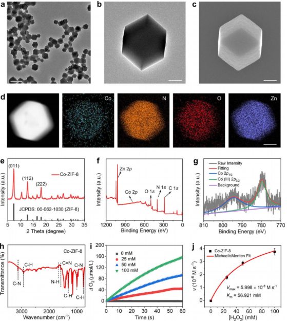 施剑林院士，最新JACS！