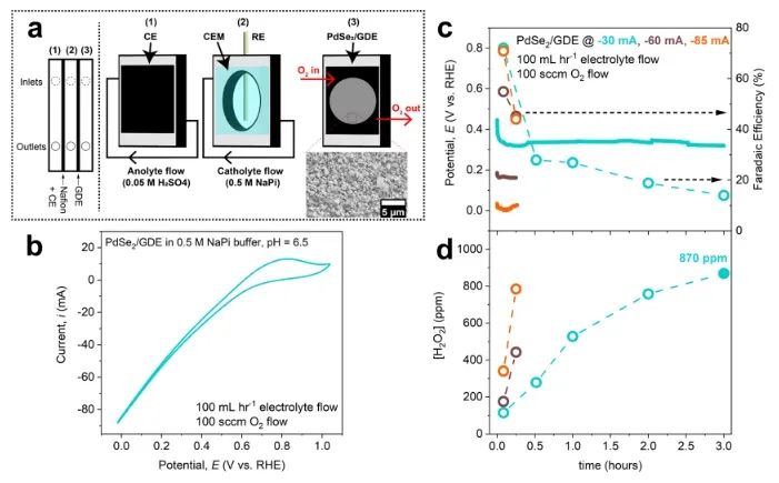 ​JACS: 计算+实验！证实五边形层状PdSe2能够快速电合成H2O2