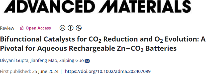 郭再萍院士，最新AM：水系可充Zn-CO2电池的关键！