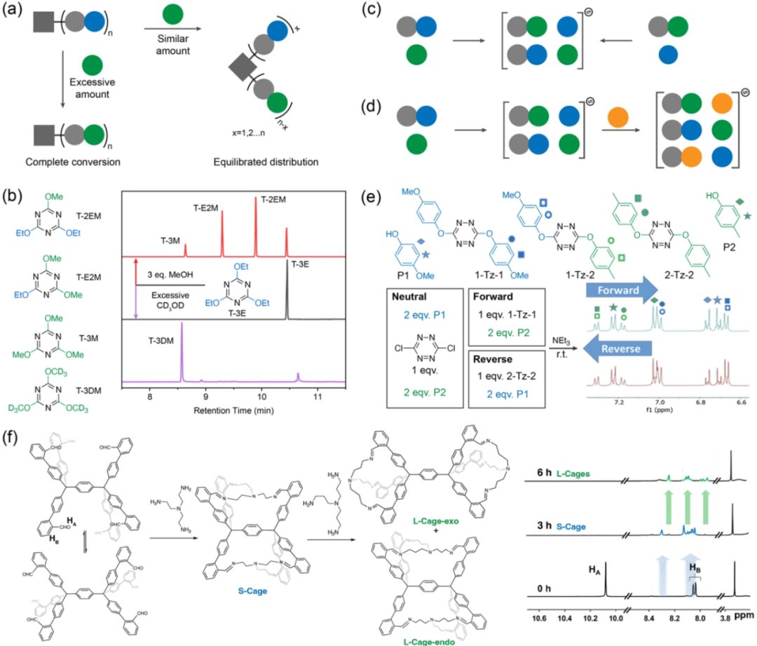 ​IF=62.1，重磅Chem. Rev.：动态共价化学在共价网络聚合物中的新进展