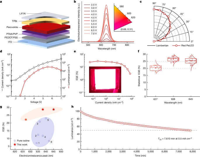 上海大学，2024年最新Nature！