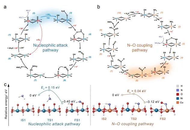 ​化学所EES: n-Si上构建Ni-Cu位点，通过N-O耦合途径选择性生成NOx−