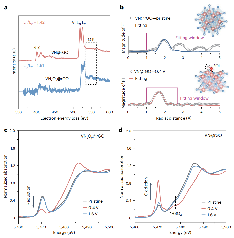 催化“跨界”电池！大佬强强联合，麦立强/王子运/陆俊等，重磅Nature Catalysis！