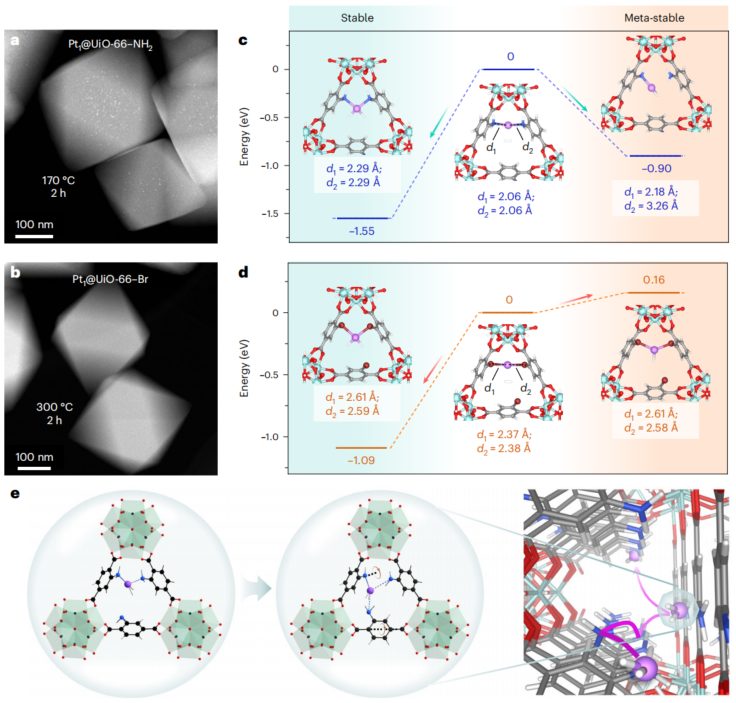 清华大学王铁峰团队，最新Nature Synthesis!