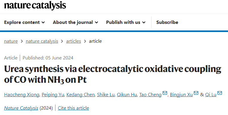 陆奇/徐冰君/程涛，最新Nature Catalysis！