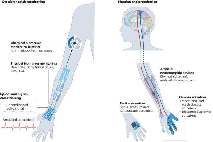 鲍哲南院士，最新Nature Reviews Bioengineering！