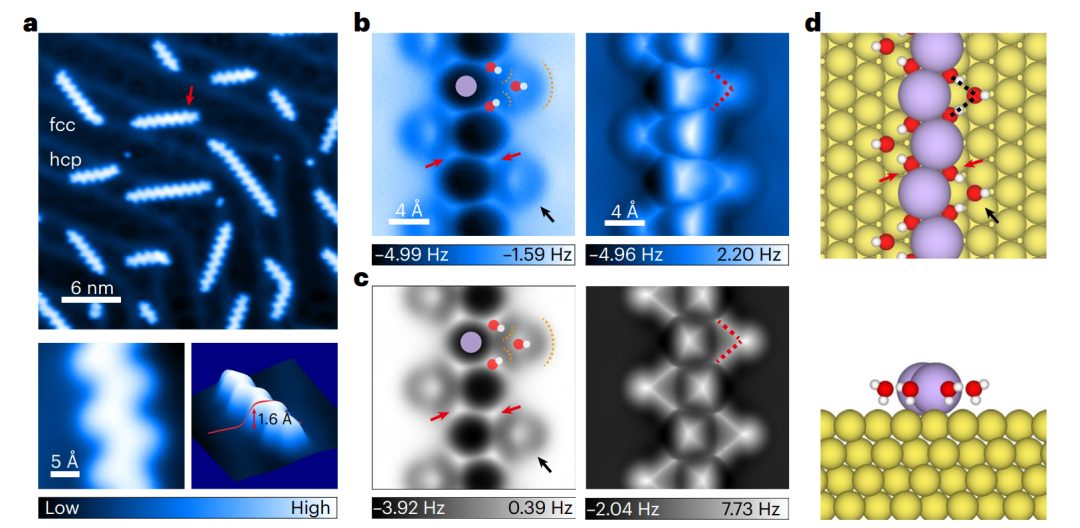 明晚开讲！Nature+Science一作！北京大学洪嘉妮博士报告：表界面氢键网络的原子尺度研究！