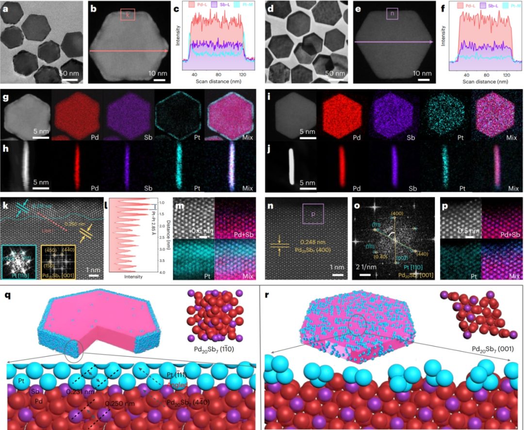 厦大「国家杰青」黄小青联手苏大邵琪，最新Nature Nanotechnology！