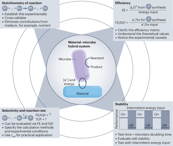 斯隆奖得主！师从赵东元/杨培东两位院士，UCLA刘翀Nature Catalysis！