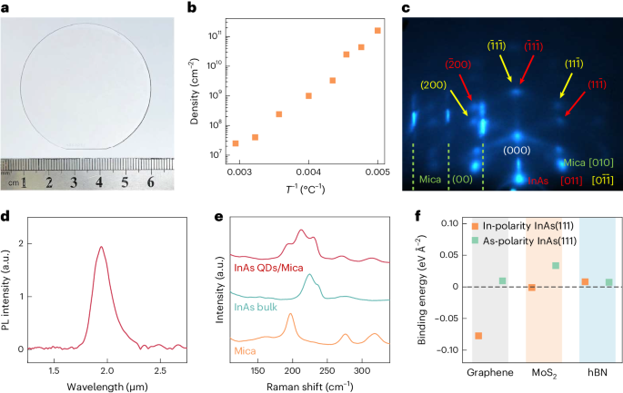 量子点，最新Nature Synthesis！