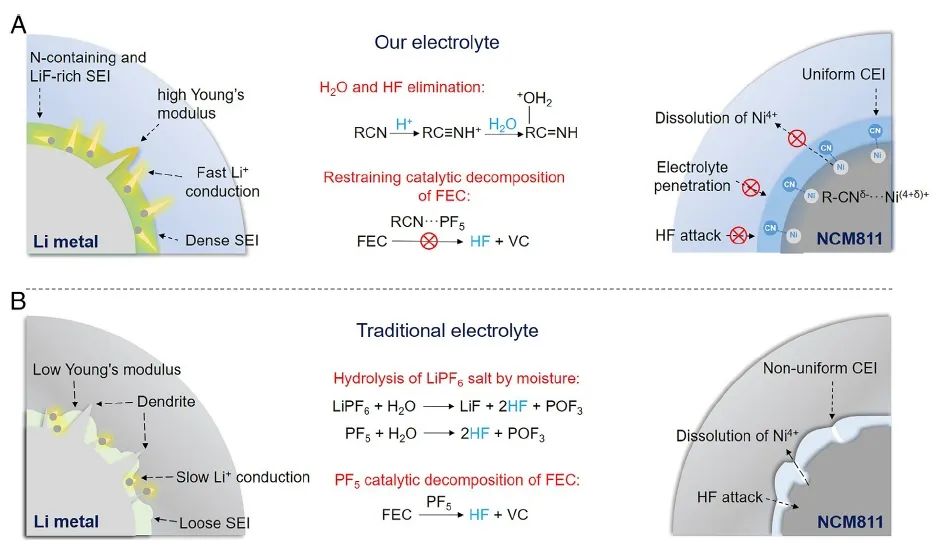 华科/物理所PNAS：氟代和氰基取代溶剂相结合的电解质设计用于无负极锂金属电池