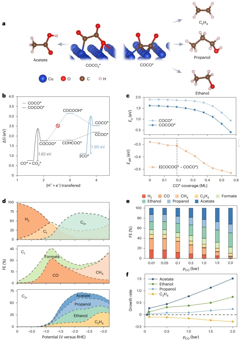 朱文磊/林跃河，最新Nature Synthesis！