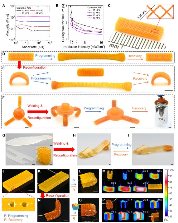 他，发表全球首篇“4D打印”论文，全球前2%顶尖科学家，最新Science子刊！