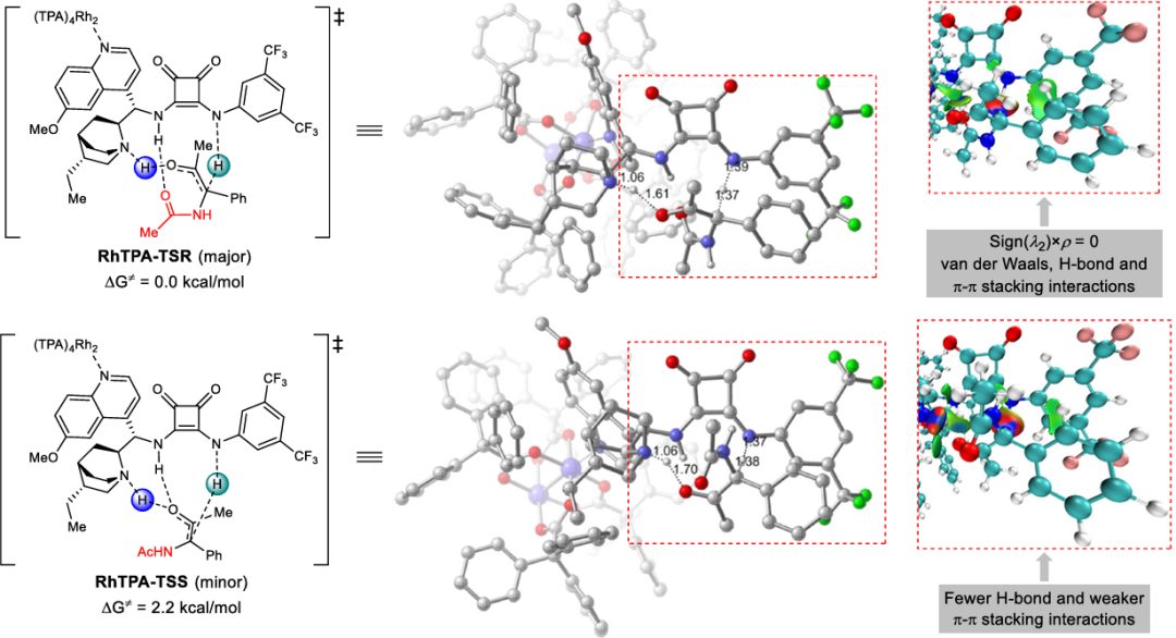 南开大学周其林院士，最新Nature子刊！